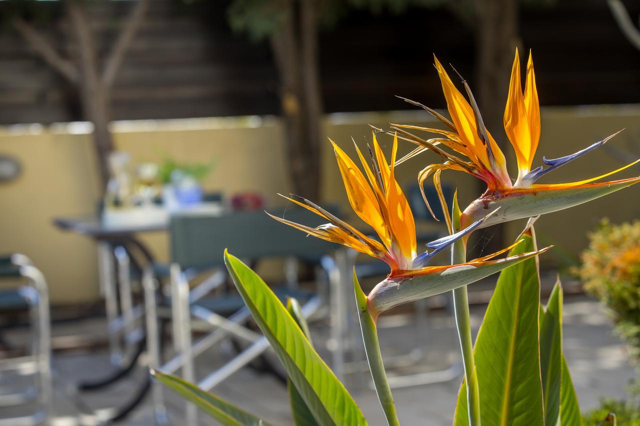 Ayia Napa Tropical Beach Villa Екстериор снимка